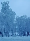 2023-11-30-08-56-23-895.webp