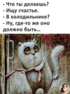 1702619980.webp