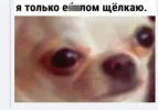 Скриншот 20-12-2023 181205.webp