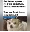 Скриншот 20-12-2023 181937.webp