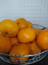IMG_20231222_151305.webp