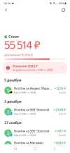 Screenshot_20231231_094616_Yandex Pay.webp