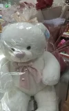 IMG_20240108_221624.webp