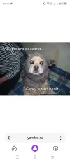 Screenshot_20240124-094001.webp