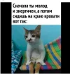 Скриншот 26-01-2024 151432.webp
