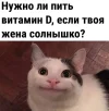 1706457950.webp