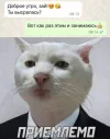 1706636756.webp