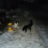 IMG20240204191113.webp