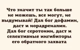 1707076388202.webp
