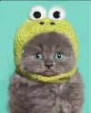 Скриншот 06-02-2024 133406.webp