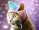 16c18077ed6b2b7cc70ec266c889dd46.webp