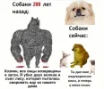 1707294095.webp
