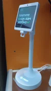 image-7.webp