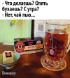 8ekEF0tgY40.webp