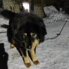 IMG20240210210542.webp