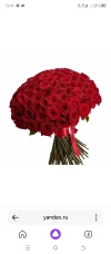 Screenshot_20240214-124728.webp