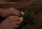 9244-Ad_min-by-004.gif