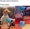 1708288746.webp