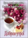 UID11848_1678510646_70.webp