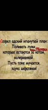 Screenshot_2024-02-27-22-47-25-439_com.vkontakte.android.webp