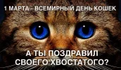 original.webp