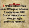 Скриншот 05-03-2024 125234.webp