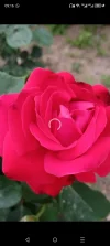 Screenshot_20240306-091629.webp