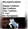 Скриншот 06-03-2024 135600.webp