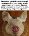 UID706397_1614882073_77.webp