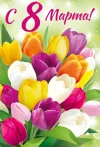 IMG_20240308_080830.webp