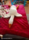 IMG_20240309_144725_265.webp