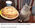 Безымянный.webp