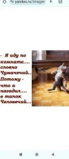 Screenshot_2024-03-11-20-31-22-349_com.miui.gallery.webp