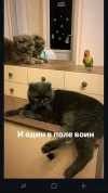 Screenshot_20240319-003245.webp