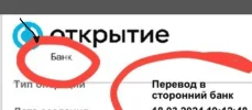 Снимок экрана 2024-03-19 180005.webp