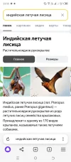Screenshot_20240401-235504.webp