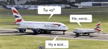 Без названия.webp