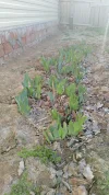 IMG-20240402-WA0035.webp
