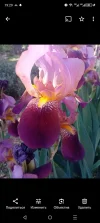 Screenshot_20240403-192953.webp
