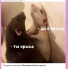 Скриншот 04-04-2024 142037.webp