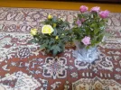 IMG_20240404_215936.webp