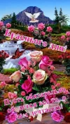 IMG_20240411_231118_685.webp