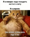 IMG_20240412_234910_581.webp