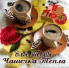 495461.webp