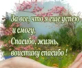 1713368464459.webp