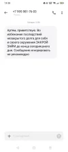 дурачок 2.webp