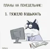 Скриншот 22-04-2024 122916.webp