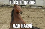 odom74MVMxIO_vcdPGyzbw.webp