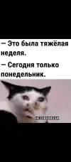 Screenshot_2024-04-22-17-37-33-204_com.vkontakte.android.webp