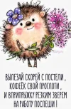 IMG_20240425_025156_805.webp